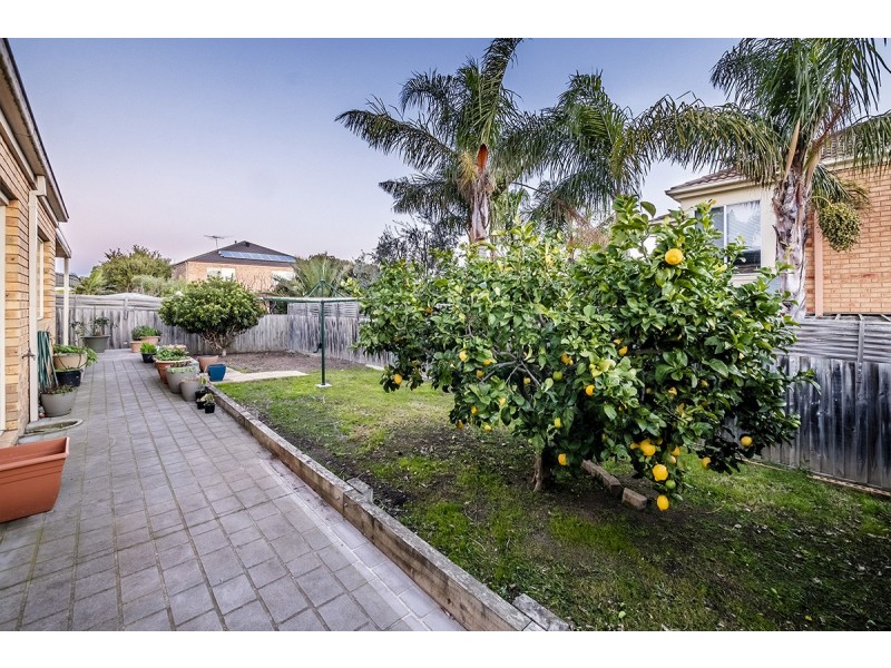 79 Hutchinson Drive, Lynbrook VIC 3975