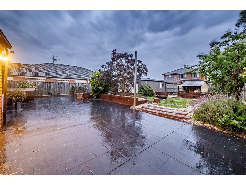 14 Hal Porter Terrace, Lynbrook VIC 3975