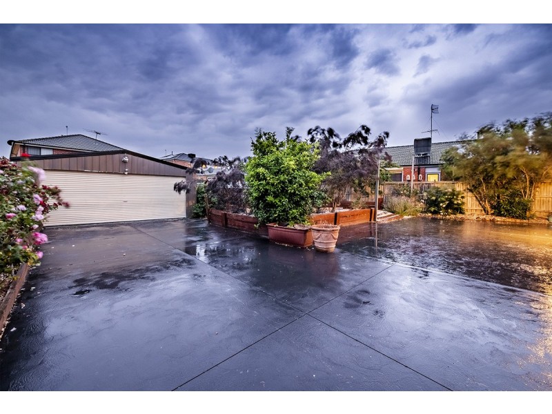 14 Hal Porter Terrace, Lynbrook VIC 3975
