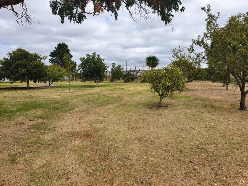 181 Fisheries Road, Devon Meadows VIC 3977