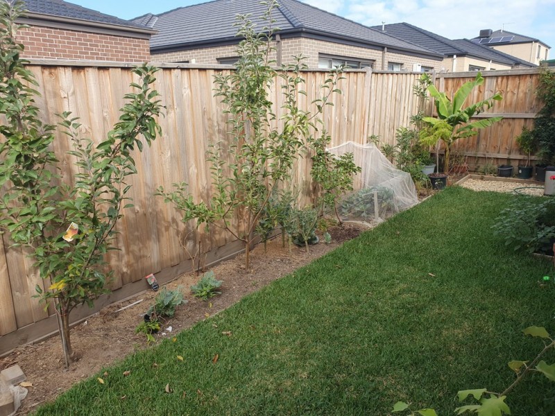 18 Westbourne Street, Clyde North VIC 3978