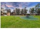 31 Sierra Walk, Cranbourne North VIC 3977