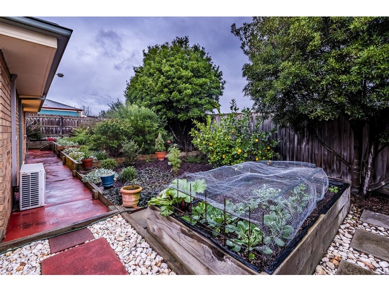 24 Jagger Circuit, Cranbourne East VIC 3977