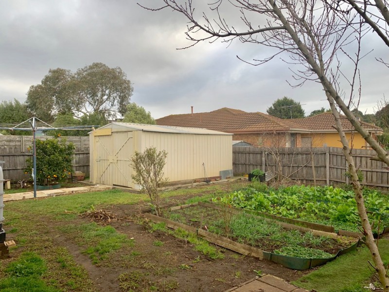 11 Neptune Place, Cranbourne West VIC 3977