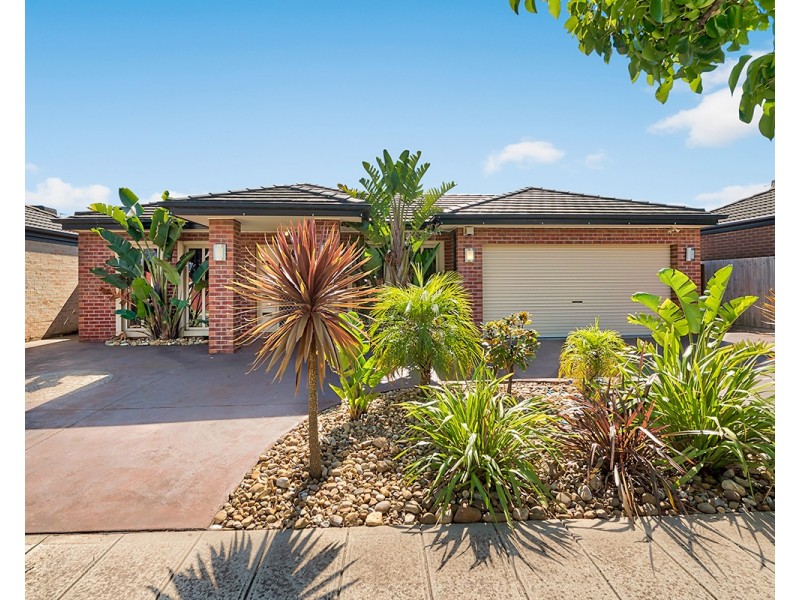 6 Prichard Avenue, Lynbrook VIC 3975