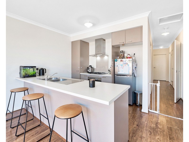 3 Supplejack Walk, Cranbourne North VIC 3977