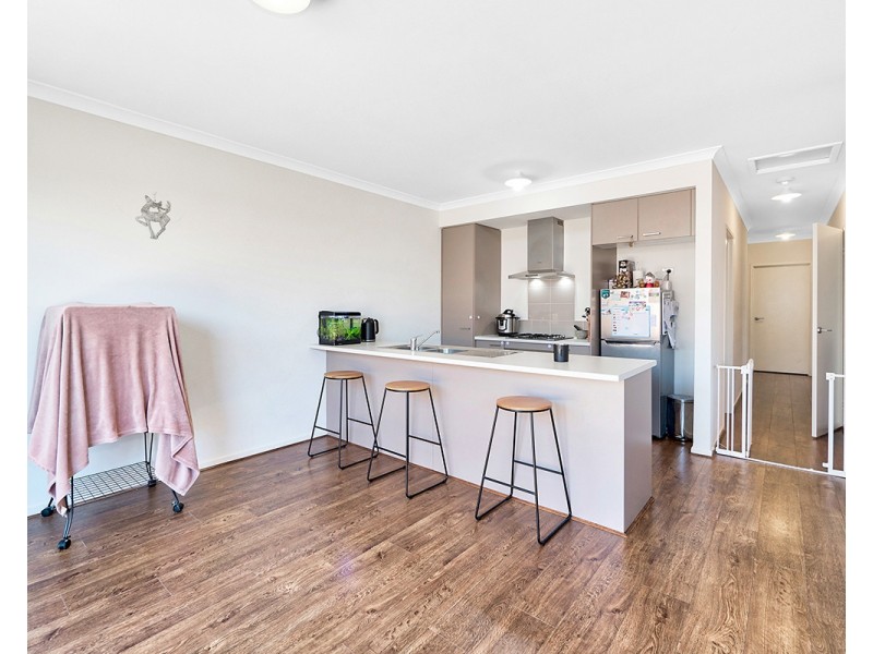 3 Supplejack Walk, Cranbourne North VIC 3977