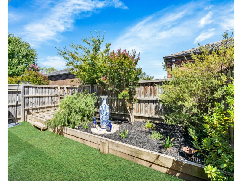 31 Rush Lily Drive, Officer VIC 3809