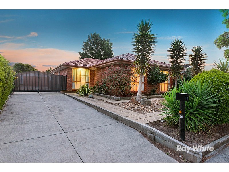 31 Marylyn Place, Cranbourne VIC 3977