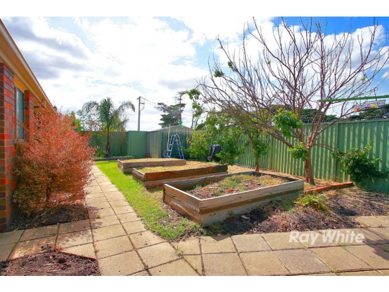 91 Scotsdale Drive, Cranbourne East VIC 3977