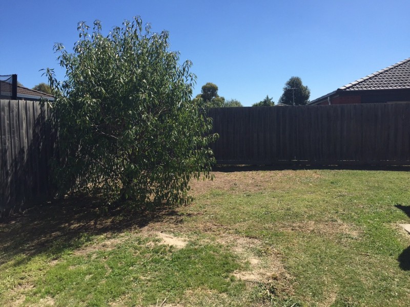 8 Bellbrae Crescent, Cranbourne West VIC 3977