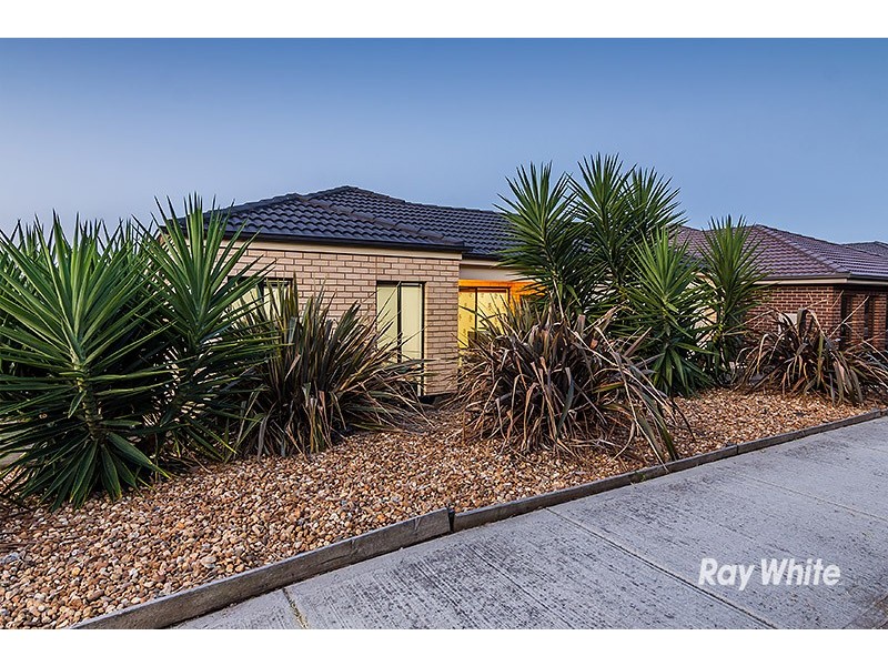 53 Prosperity Ave, Cranbourne North VIC 3977