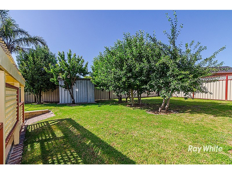 24 Courtenay Avenue, Cranbourne North VIC 3977