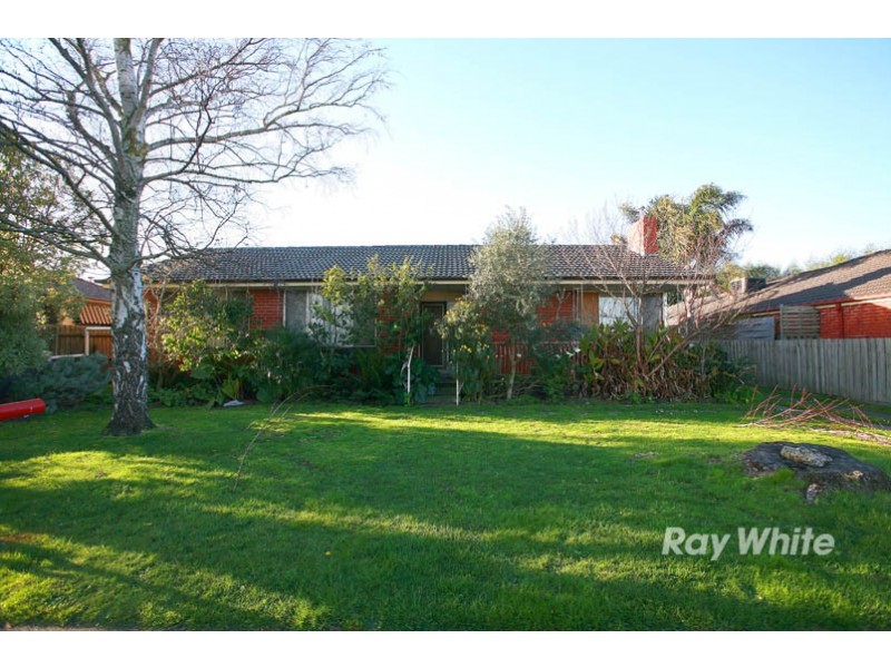 11 Duff Street, Cranbourne VIC 3977