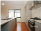 15 Appaloosa Grove, Clyde North VIC 3978