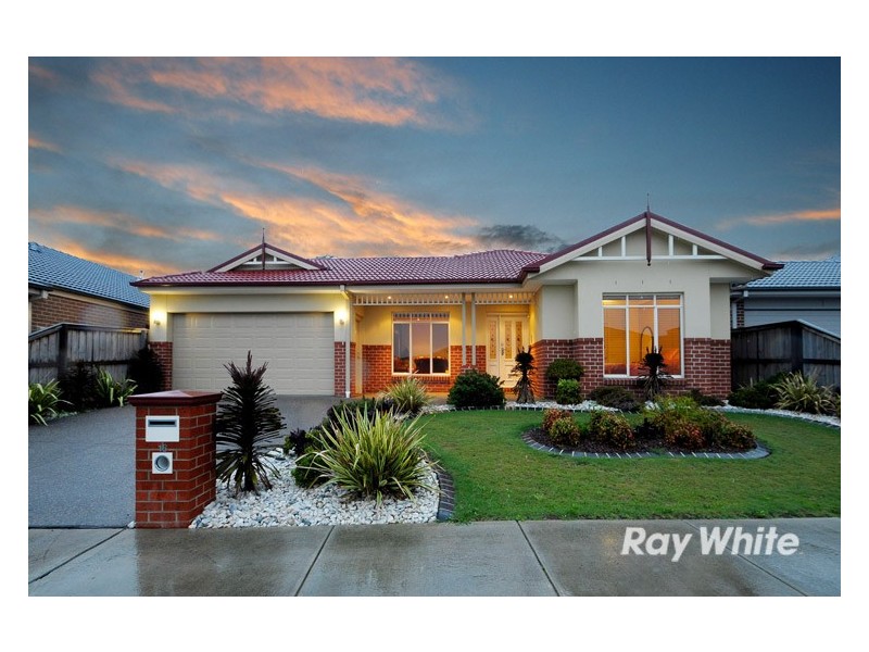 16 Aisbett Close, Lynbrook VIC 3975