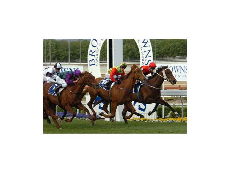 6 Princeton Place, Cranbourne West VIC 3977