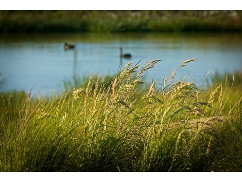 4 Holsteiner Terrace, Clyde North VIC 3978