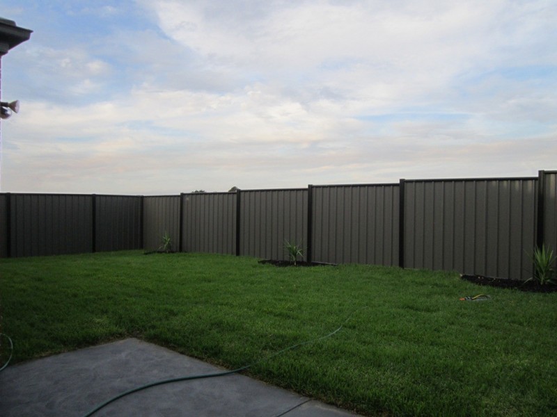 11 Buckskin Drive, Clyde North VIC 3978