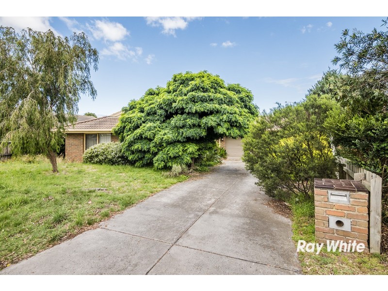3 Walnut Court, Cranbourne North VIC 3977