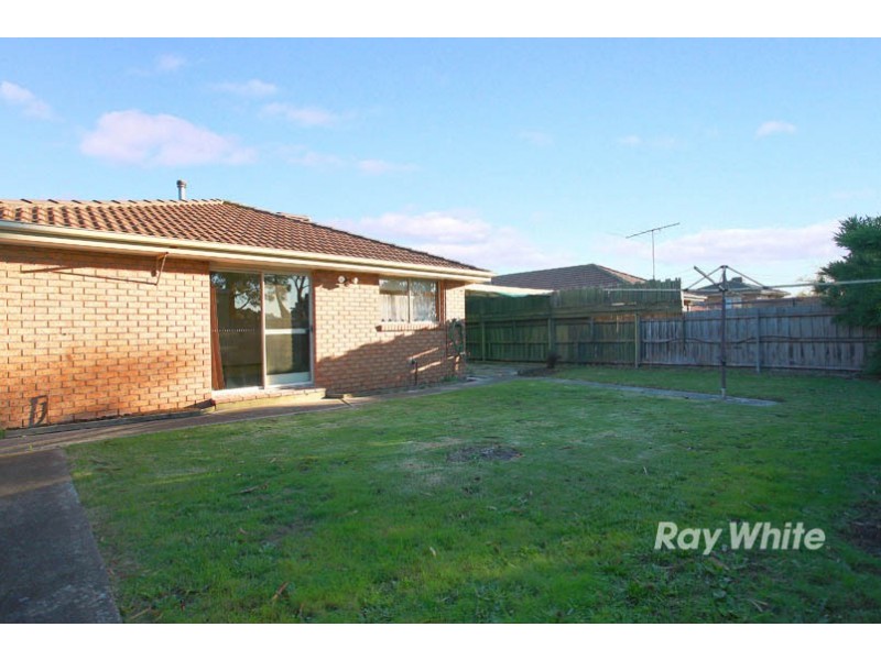 43 Courtenay Avenue, Cranbourne North VIC 3977