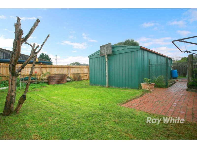 17 Courtenay Avenue, Cranbourne North VIC 3977