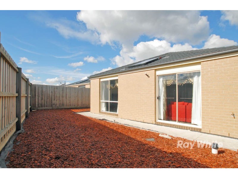 16 Pengana Way, Cranbourne VIC 3977