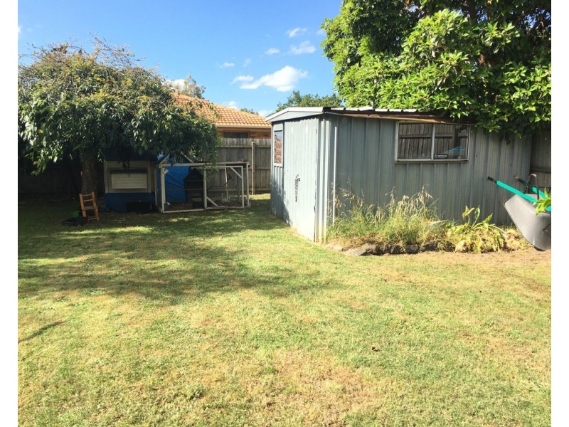 223 Dandelion Drive, Rowville VIC 3178