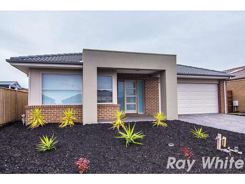 46 Lemon Grove, Cranbourne West VIC 3977