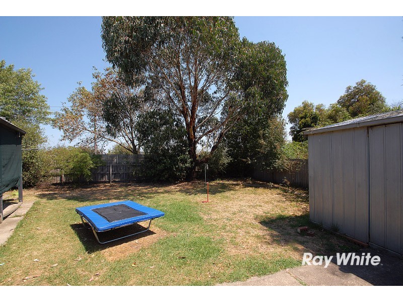 17 Caroline Cresent, Cranbourne West VIC 3977