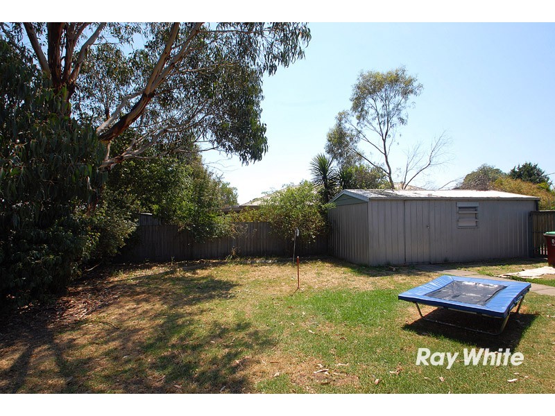 17 Caroline Cresent, Cranbourne West VIC 3977