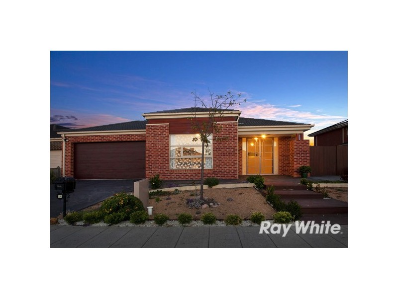 230 Paterson Drive, Lynbrook VIC 3975