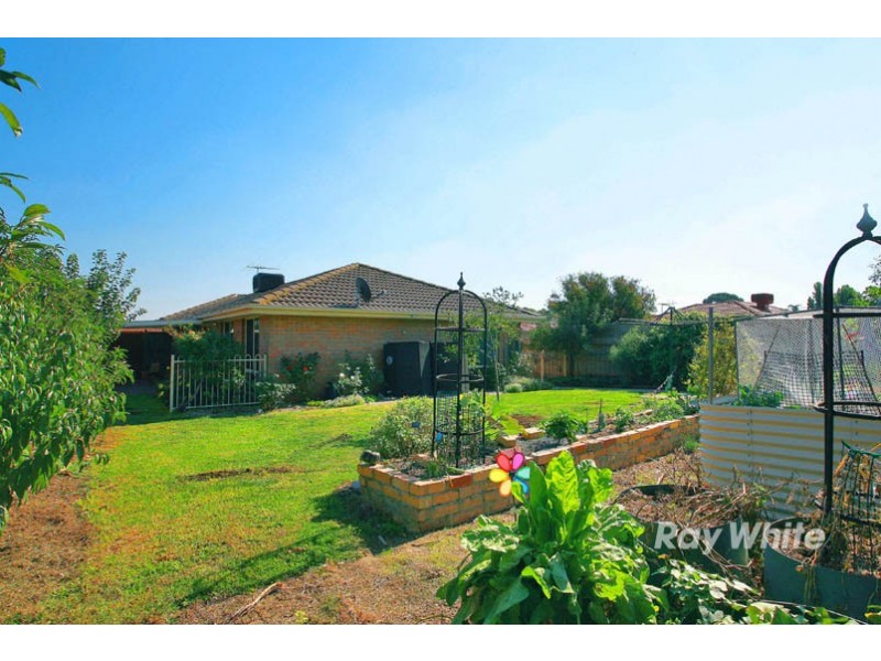 3 Rimes Close, Cranbourne West VIC 3977