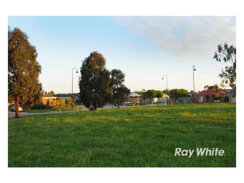 12 Venus Place, Cranbourne VIC 3977