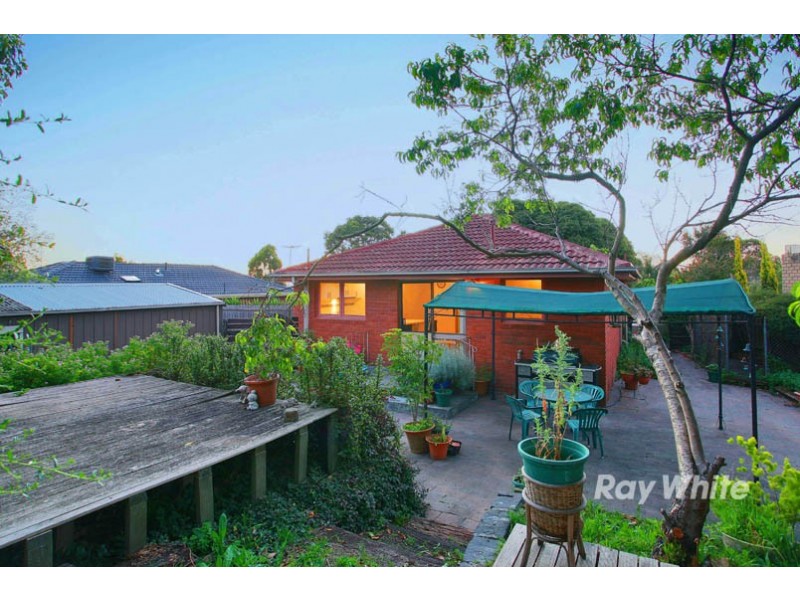 12 Stephens Close, Endeavour Hills VIC 3802