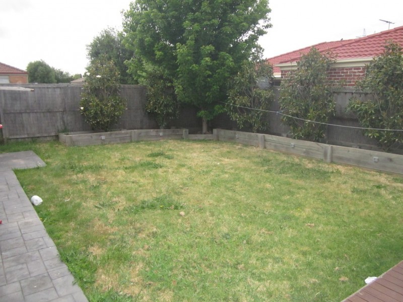 16 Silky Oak Drive, Cranbourne VIC 3977