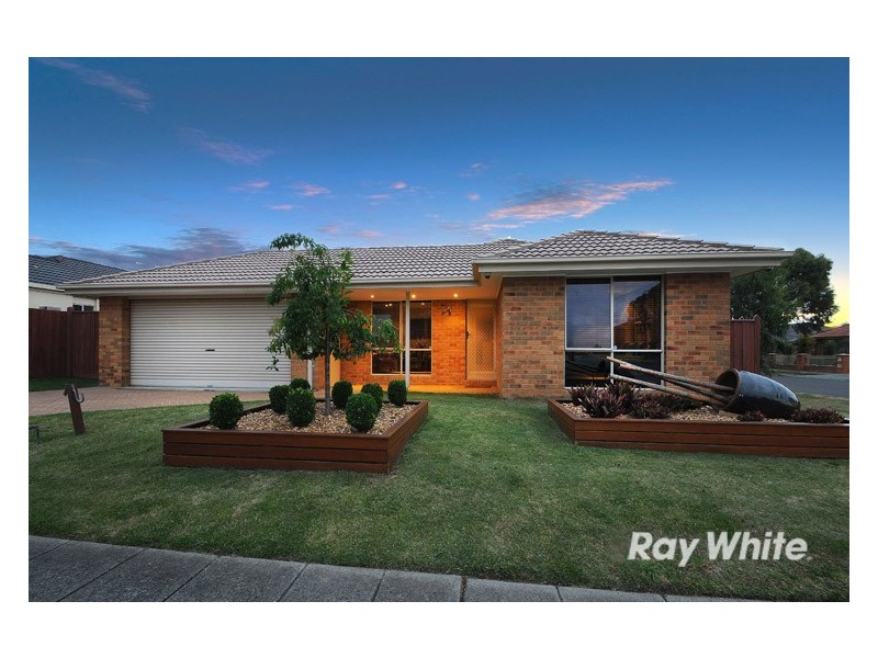 1 Pedley Way, Lynbrook VIC 3975