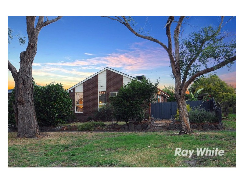 16 Hovell Court, Cranbourne VIC 3977