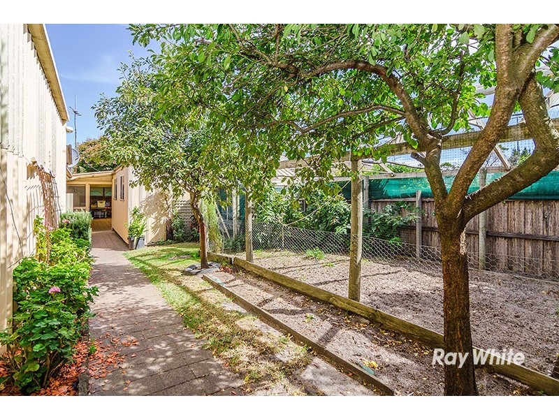 55 Courtenay Avenue, Cranbourne North VIC 3977