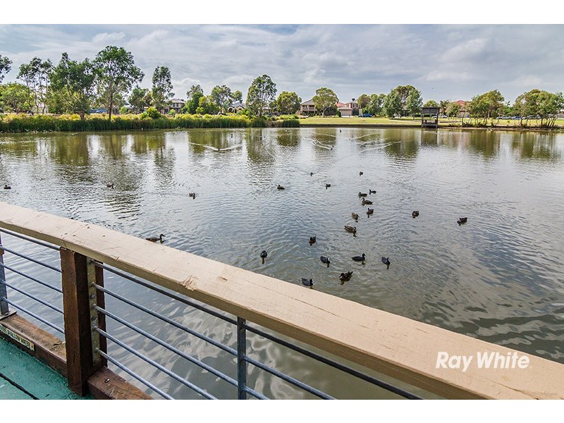 11 Baynton Crescent, Lynbrook VIC 3975