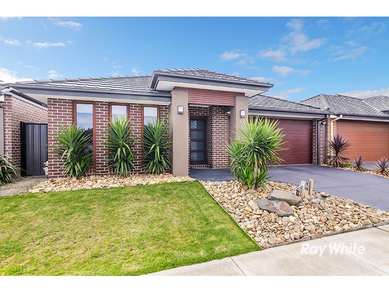 19 Gelderland Drive, Clyde North VIC 3978