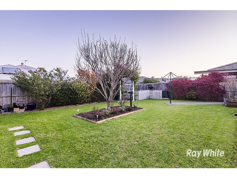 17 Balladonia Gum Circuit, Lyndhurst VIC 3975
