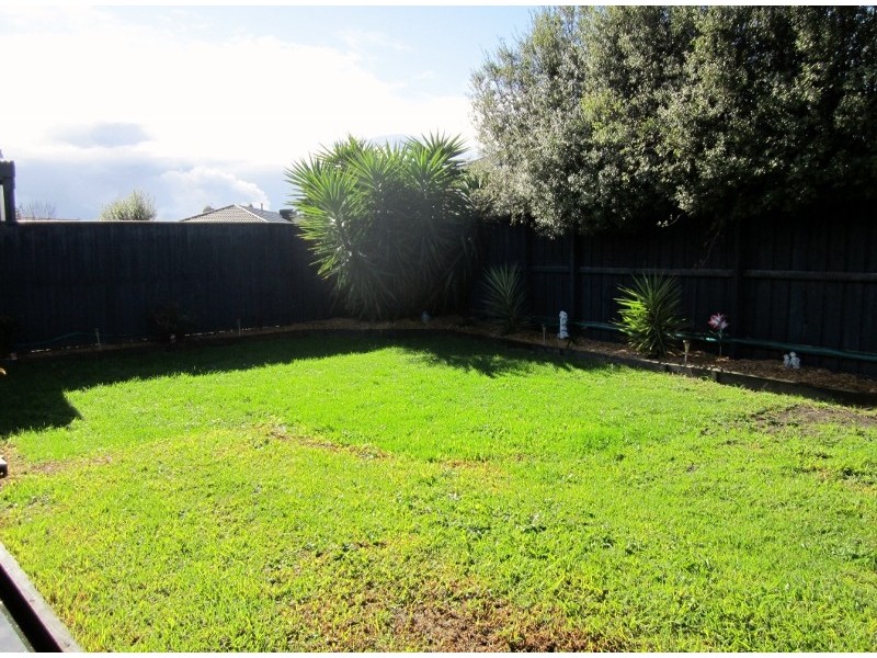 20 Robusta Avenue, Cranbourne VIC 3977