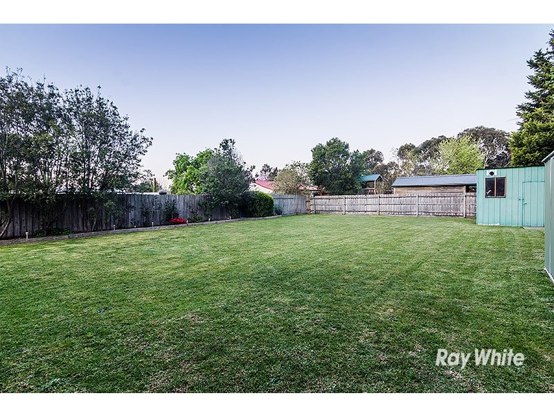 37 Maculata Drive, Cranbourne West VIC 3977