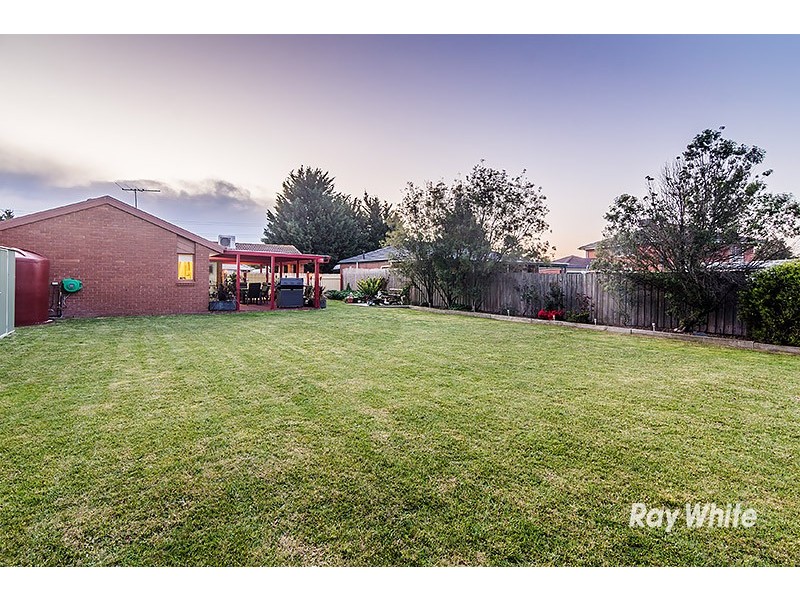 37 Maculata Drive, Cranbourne West VIC 3977