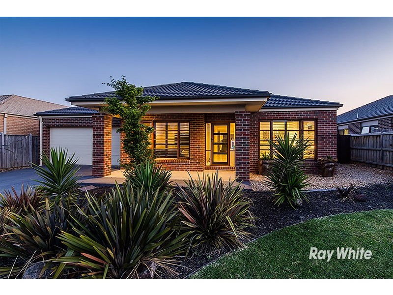 37 Wild Scotchman Way, Cranbourne East VIC 3977