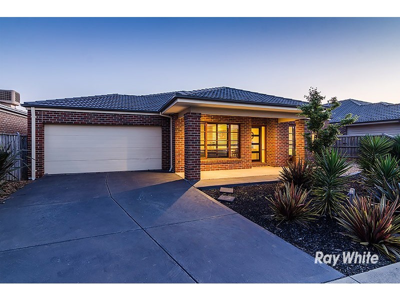 37 Wild Scotchman Way, Cranbourne East VIC 3977