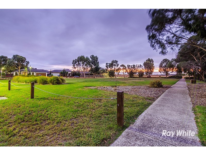 22 Hal Porter Terrace, Lynbrook VIC 3975