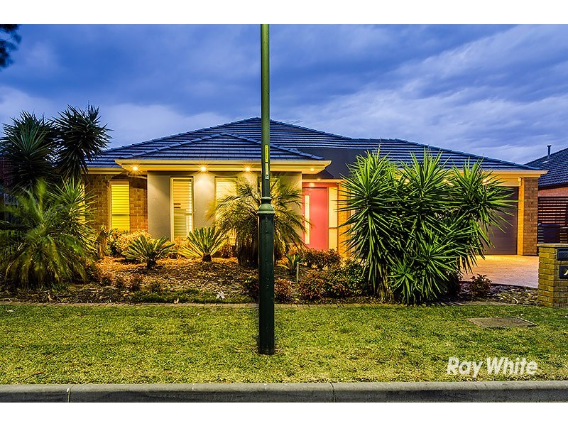 29 Hal Porter Terrace, Lynbrook VIC 3975