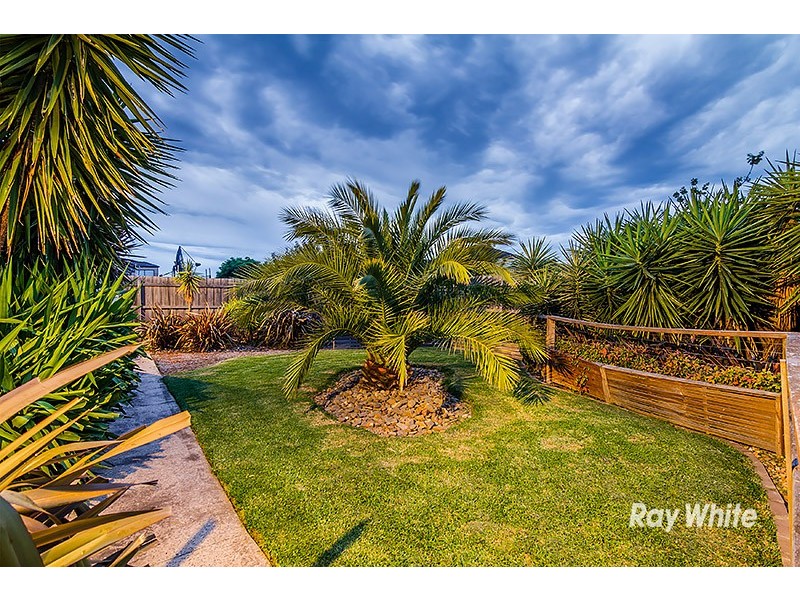 29 Hal Porter Terrace, Lynbrook VIC 3975